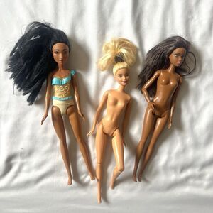 3 Lot Barbie Doll Mattel Fashionista African American Caucasian Pocahontas Nude